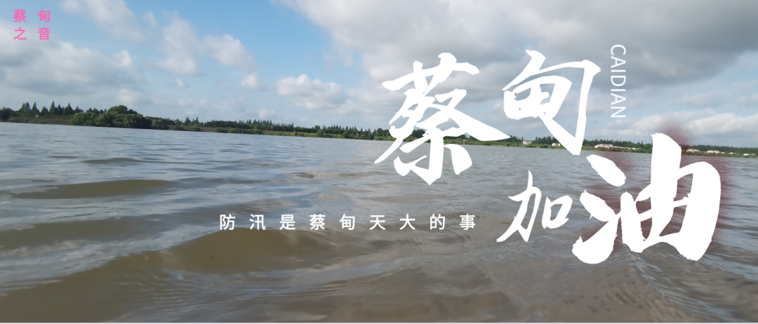 蔡甸區(qū)啟動(dòng)防汛ⅰ級應(yīng)急響應(yīng)，做好鋪土釘防汛木樁工作