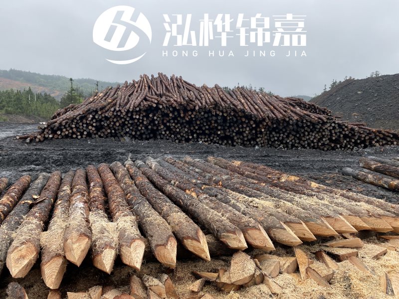6米長松木樁有哪些作用，多少錢一根？