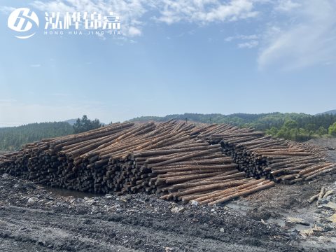 河道打樁為什么選擇松木樁來處理軟地基？-松木樁施工使用范圍