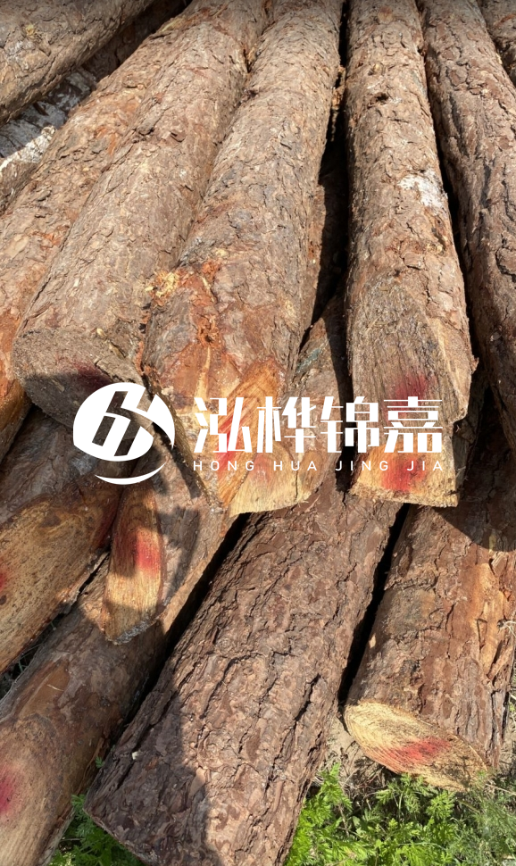 <strong>松木樁和杉木樁的用途區(qū)別？哪個更適合打樁用？</strong>