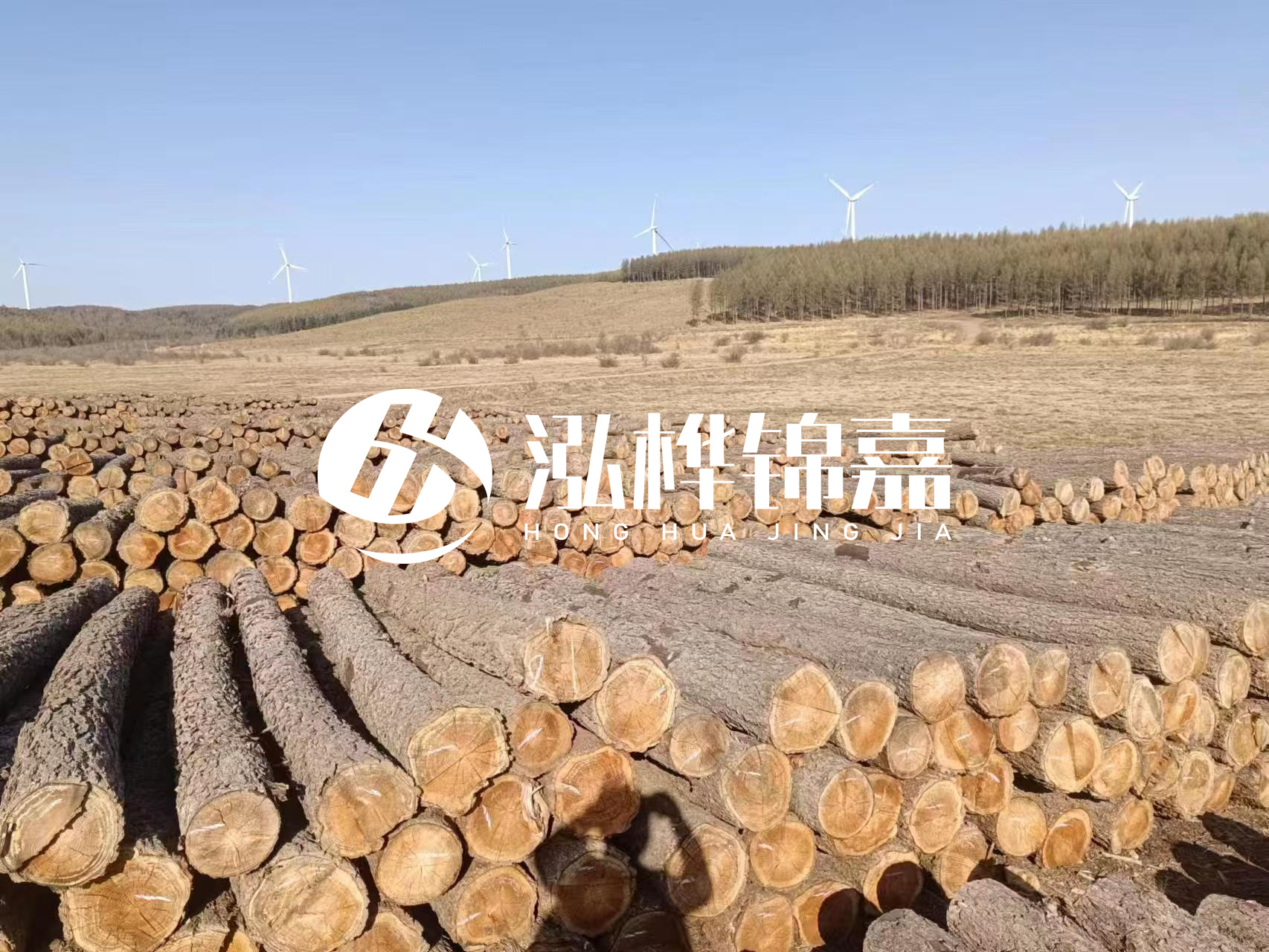 咸寧松木樁源頭廠家-哪里能買到質(zhì)量好的松木樁打樁木？