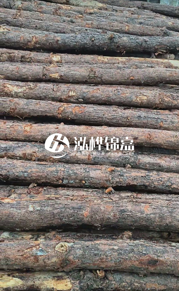 陽(yáng)江松木樁源頭廠家-哪一種打樁木最便宜？