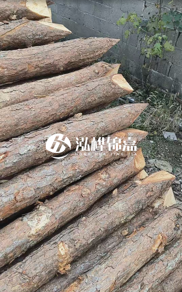 松木樁哪里能大量供應(yīng)？4米20公分松木樁價格是多少？