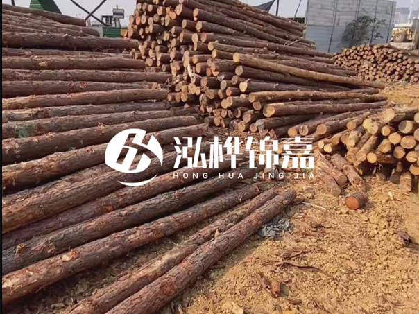 河道木樁施工遇到淤泥怎么辦？打多深才能防沖刷？