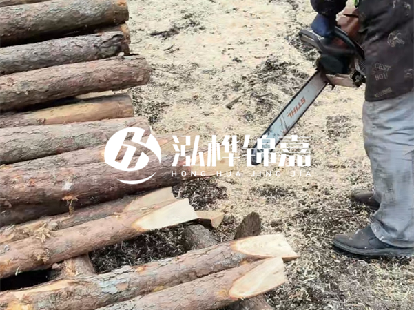 杉木樁批發(fā)廠家哪家好？產地直供渠道推薦！