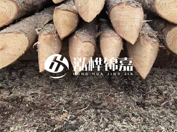 打樁木樁與鋼樁相比有哪些優(yōu)缺點？如何進行后期維護？
