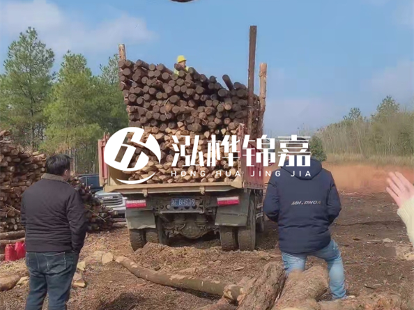 松木樁價格是按米算還是按根算？6米松木樁批發(fā)價每根多少錢？