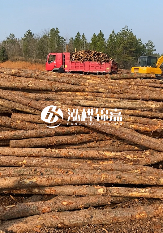 8米小頭11-13CM的松木樁價格是多少？打樁施工怎么算？