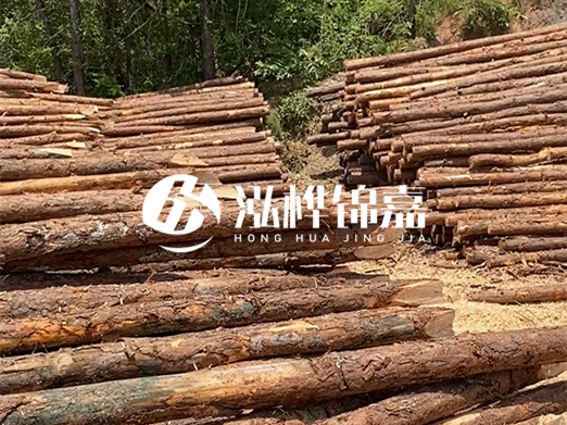 松木樁的運(yùn)輸費(fèi)用是否包含卸車費(fèi)？卸貨時(shí)需要注意哪些安全問題？