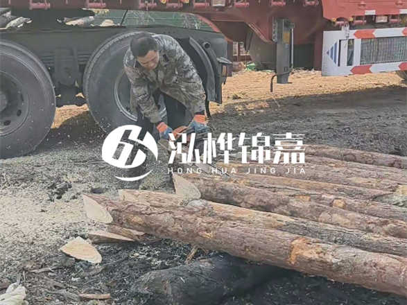 松木圓木價(jià)格大概多少一方-松木樁廠家按方可以賣嗎？