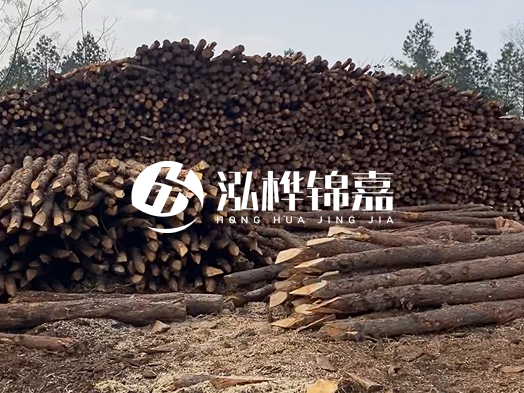 地基打木樁用什么木材 - 地基打木樁的能撐幾年？
