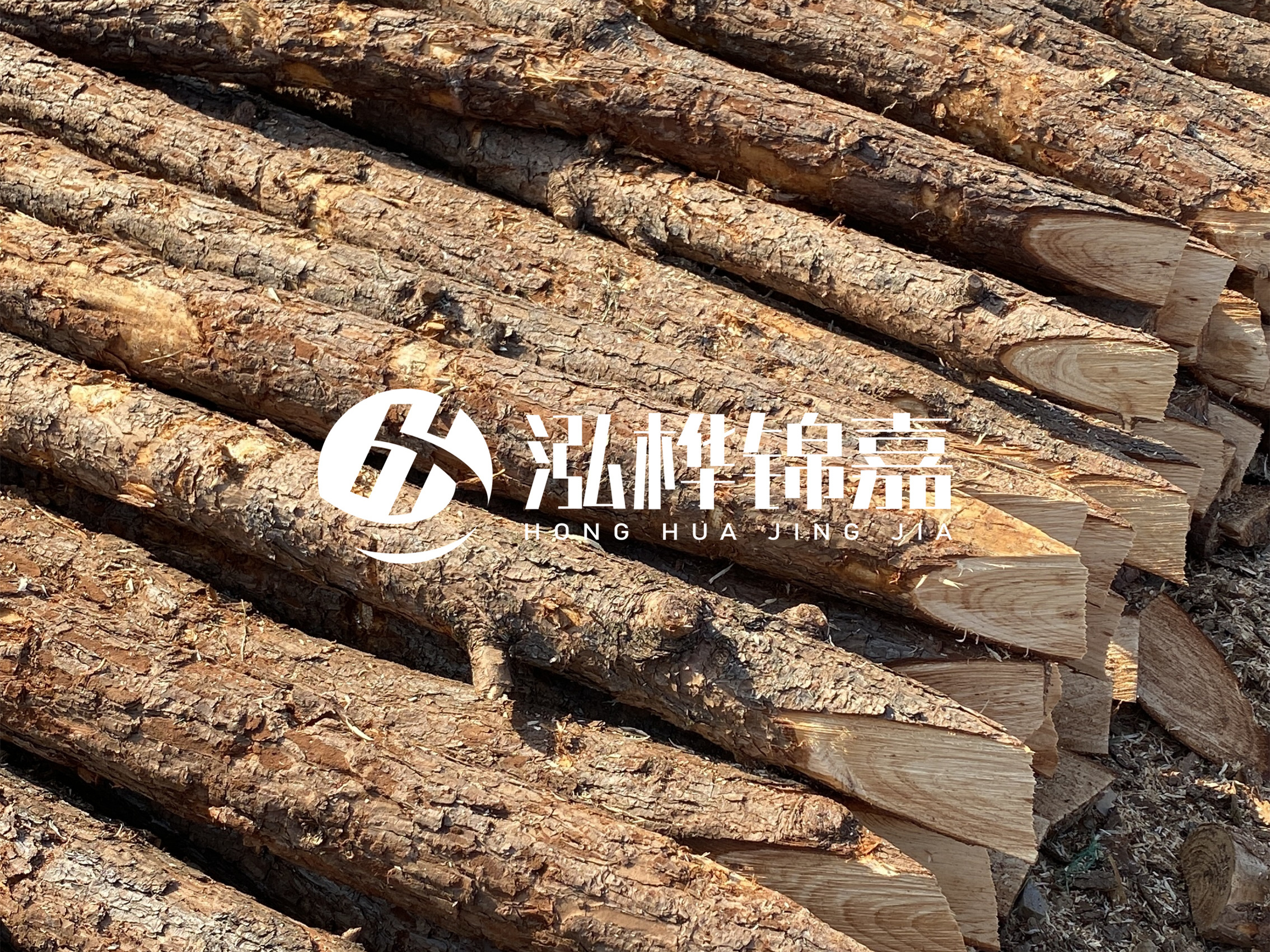 8 米超大直徑松木樁的價格是多少？帶皮和去皮松木樁價格差多少？
