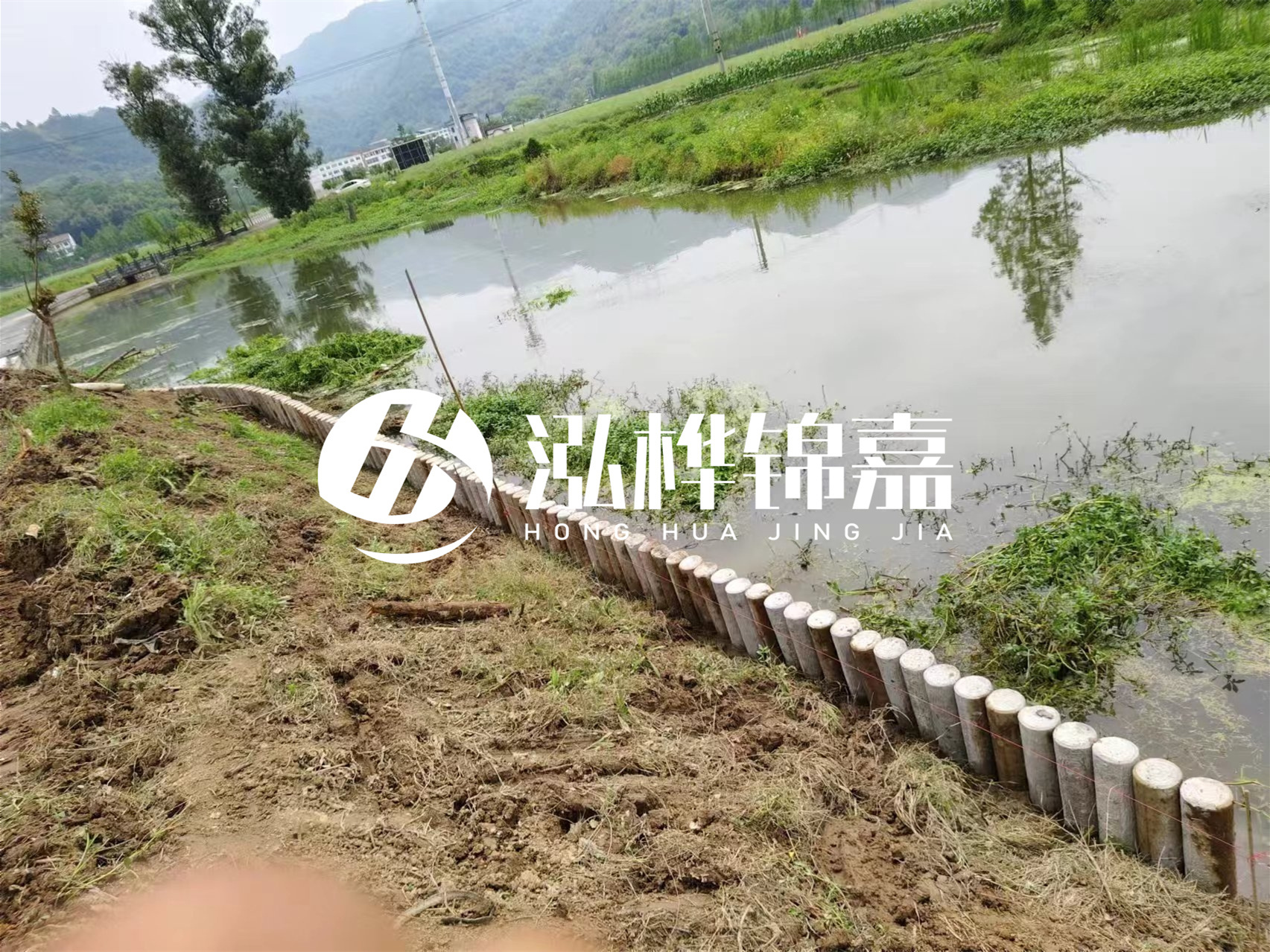 松木樁加固河道與水泥樁對比如何？哪一種更加適合您？