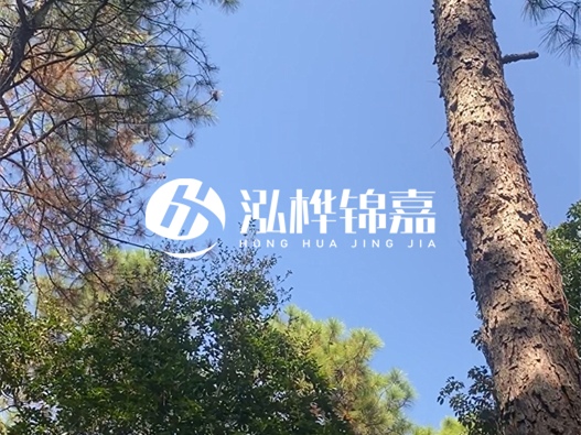 松木樁廠家的供貨能力強(qiáng)不強(qiáng)-怎么才能聯(lián)系到松木樁廠家？