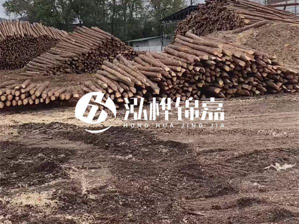 松木樁施工隊泓樺錦嘉-河道駁岸樁選擇松木還是水泥材質更合適？