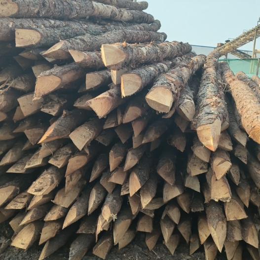 松木樁施工隊泓樺錦嘉 - 河道改造用什么規格的打樁木？