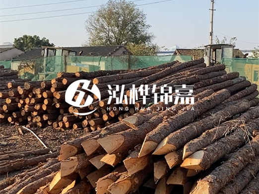 松木樁施工隊泓樺錦嘉 - 河道打樁用什么木樁？