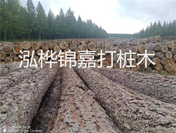 高效施工，圓松木樁助力建筑工程進(jìn)展順利