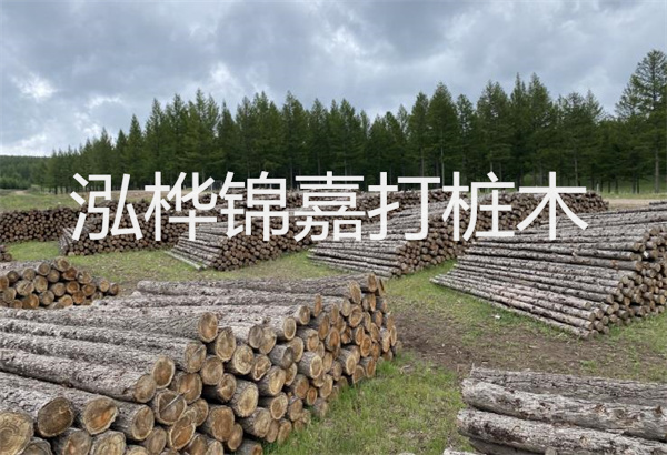預(yù)制松木樁施工工藝：優(yōu)質(zhì)材料，高效快速，堅(jiān)固耐用