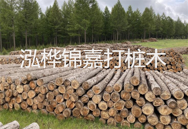 松木樁能施工嗎？探究視頻揭秘真相！