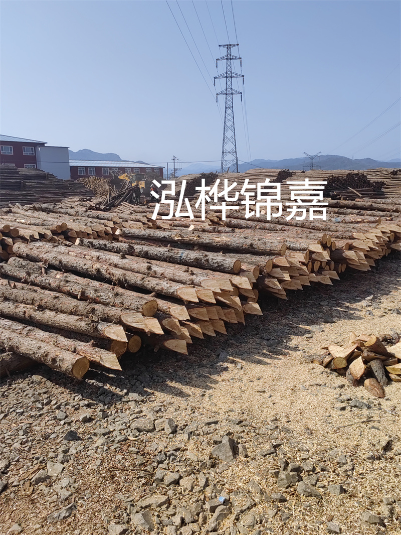 深入了解松木樁基礎(chǔ)施工單價(jià)，助力工程建設(shè)順利進(jìn)行！