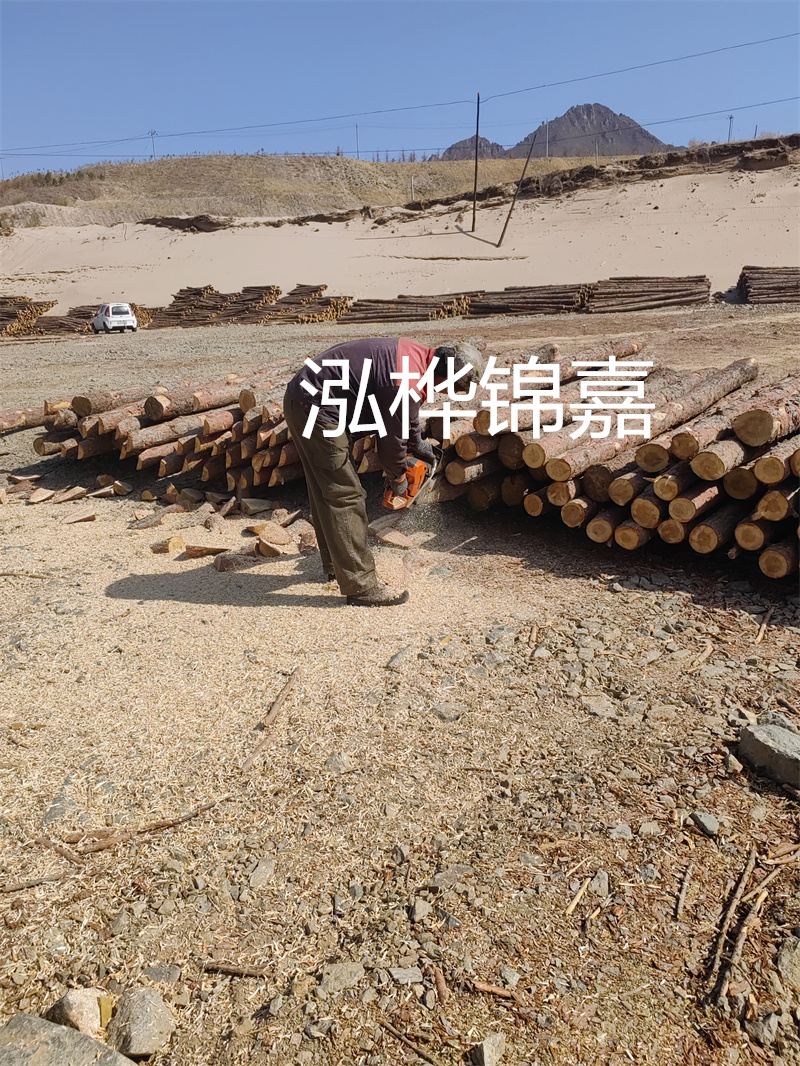 松木樁駁岸施工，打造水上風(fēng)景線