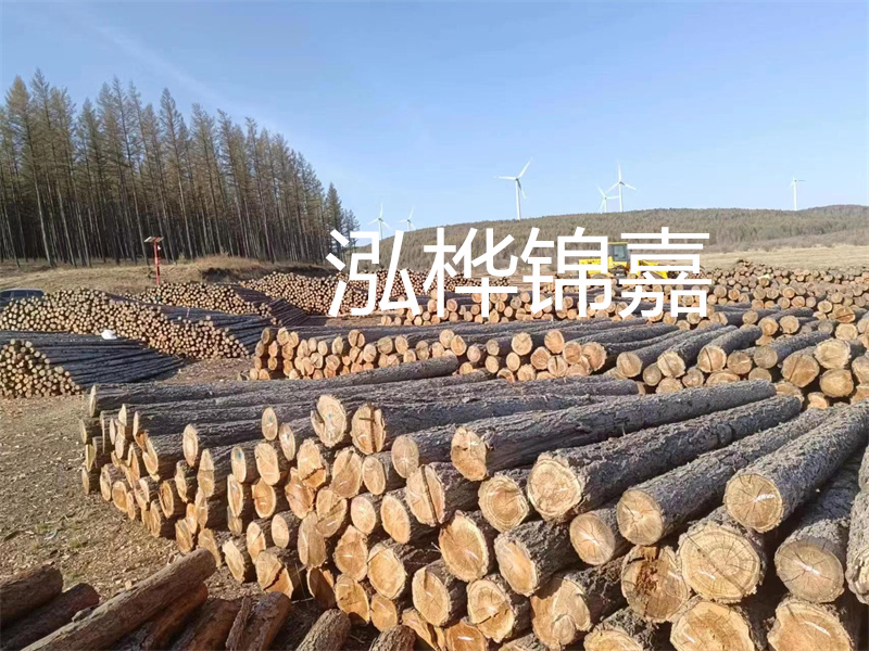 用路基松木樁施工方案提升工程質(zhì)量描述：了解路基松木樁施工方案的重要性，提高工程質(zhì)量關(guān)鍵詞：路基松木樁，施工方案，工程質(zhì)量
