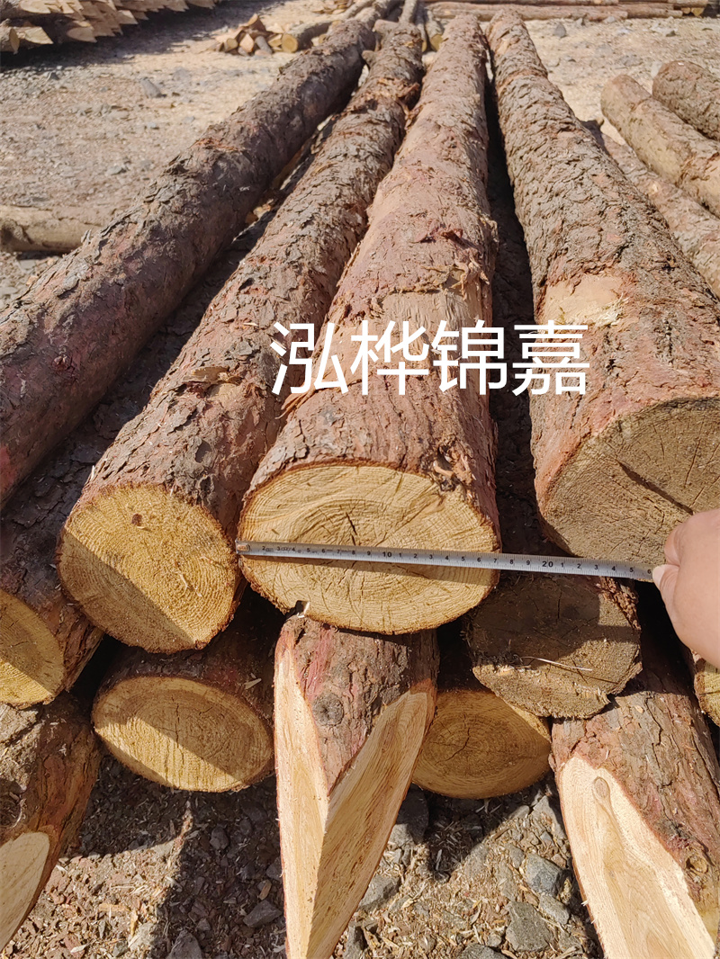 福建哪里買(mǎi)松木樁？