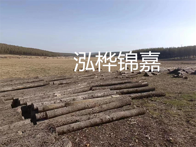 鄂州松木樁哪里好？推薦泓樺錦嘉松木樁業(yè)！